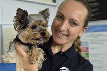 Ceva Animal Health 