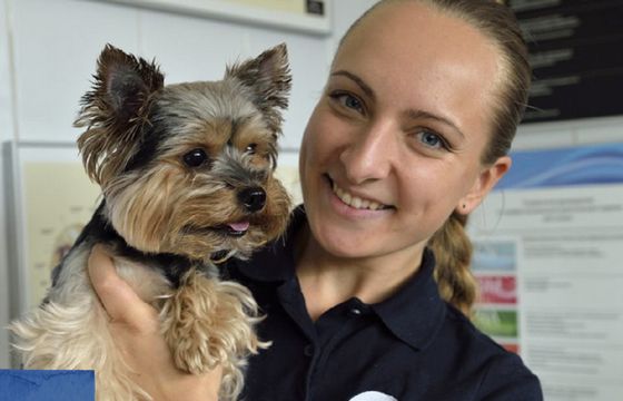 Ceva Animal Health Polska klientem Friends&Brands