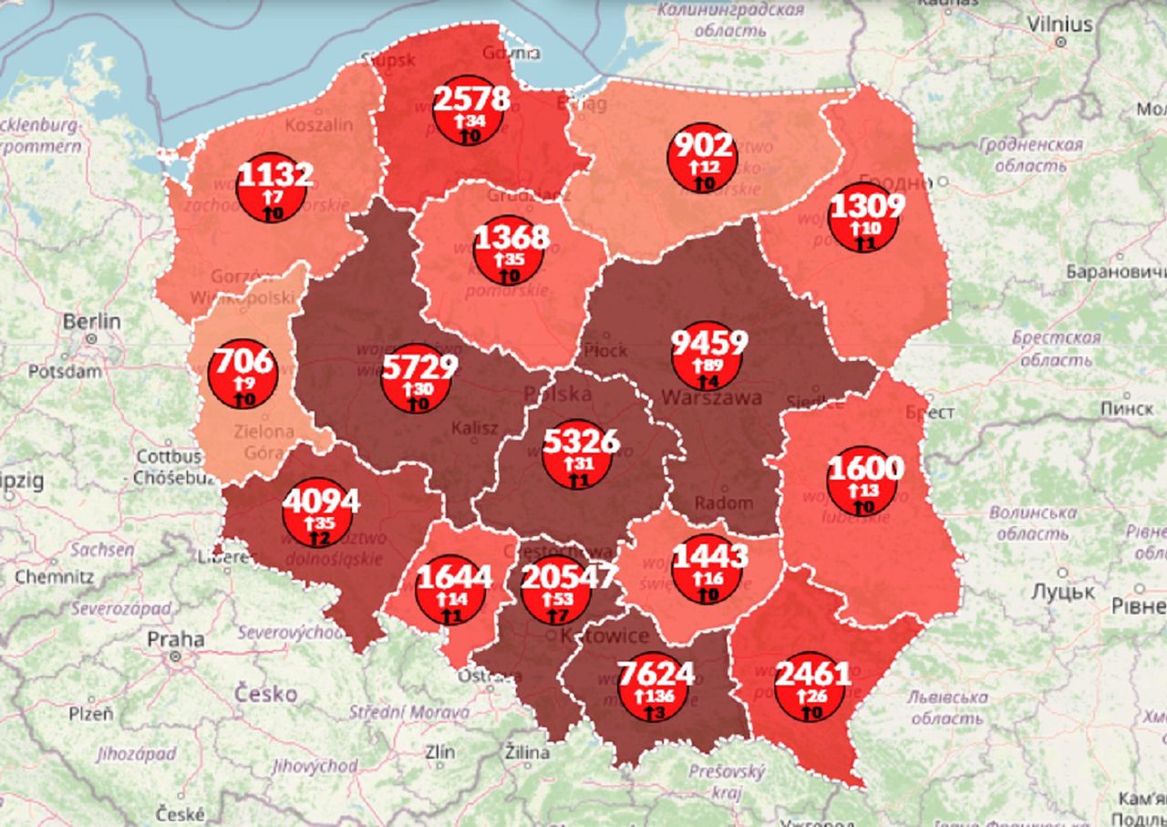 Koronawirus w Polsce. Aż 19 ofiar śmiertelnych. Specjalna mapa pokazuje najświeższe dane