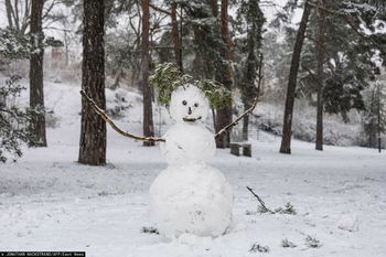 Jak rekordowe ciepło "zgasiło" słońce nad Północą? Skandynawia stała się w grudniu laboratorium zmiany klimatu