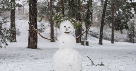 Jak rekordowe ciepło "zgasiło" słońce nad Północą? Skandynawia stała się w grudniu laboratorium zmiany klimatu