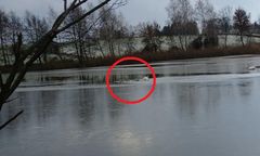 Łabędzie przymarzły do lodu. Akcja ratunkowa strażaków