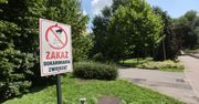 Rzeszów: Dokarmianie zwierząt bardziej im szkodzi, niż pomaga. Szczury pod balkonami, resztki na trawnikach