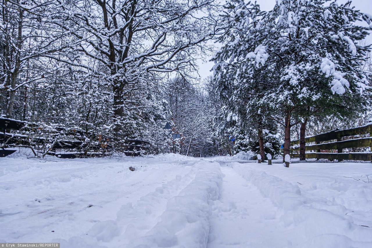 Ekstremalne mrozy w Rosji. Zimniej niż na Antarktydzie