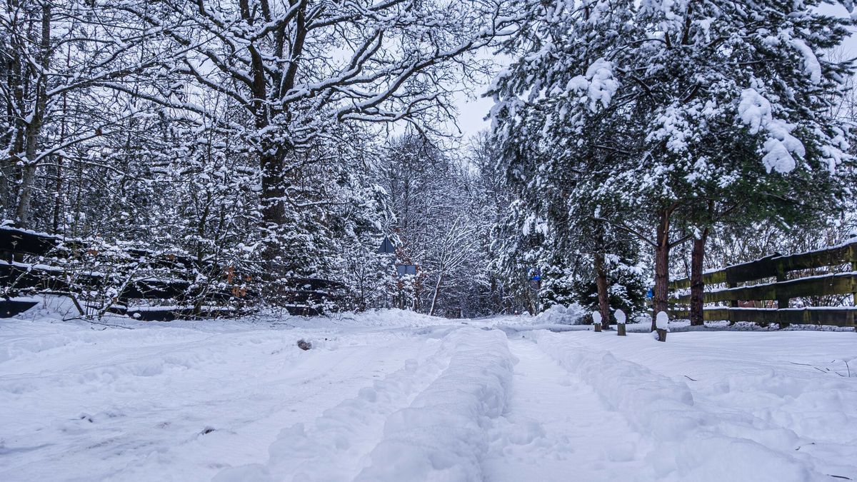 -50 stopni w Rosji. Jest zimniej niż na Antarktydzie.
