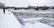 Kraków: Lodowa kra na Wiśle to dowód czystszej rzeki