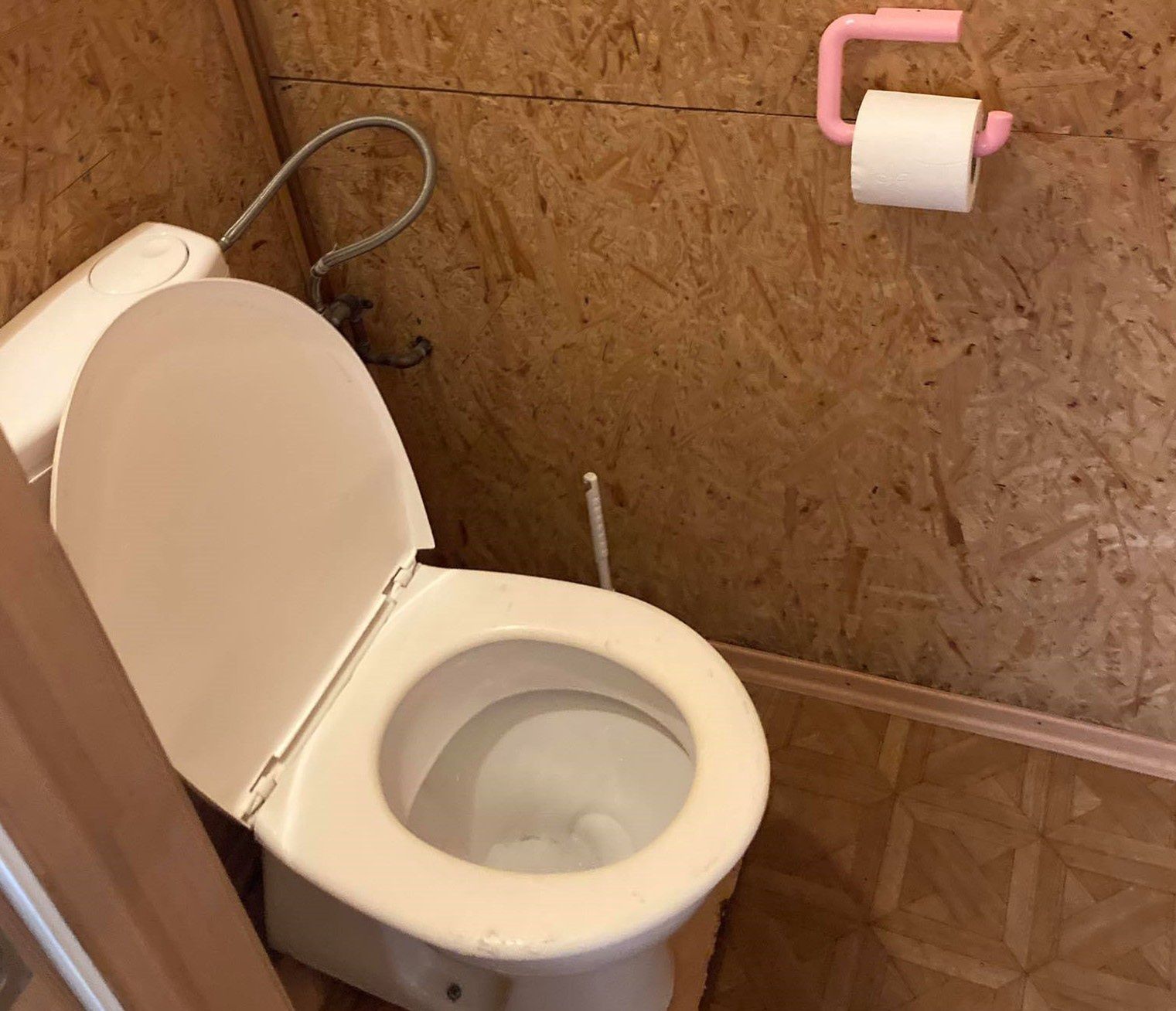 Czytelniczka WP