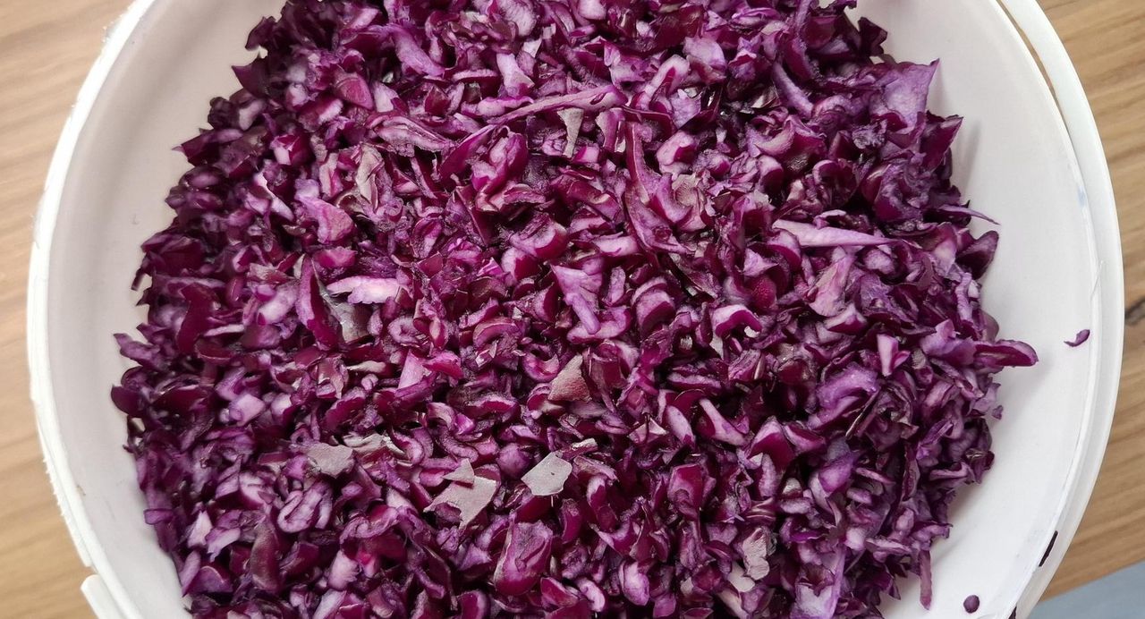 Regeneruje wątrobę, chroni przed cukrzycą. Pij szklankę dziennie przez dwa tygodnie