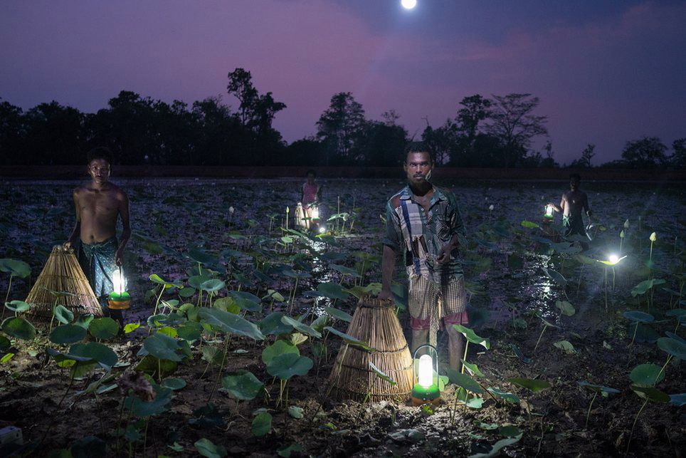 Zobaczcie najlepsze zdjęcia zgłoszone w konkursie Environmental Photographer of the Year 2016 2