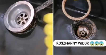 Ujawniła obrzydliwy sekret kuchennego zlewu. Lepiej zatkaj nos, nim zajrzysz