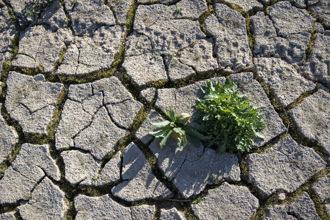 Regiony już doświadczają bardzo intensywnej suszy, a wysokie temperatury o tej porze roku, kiedy pogarszają sytuację.