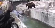 Wtargnął na wybieg w zoo i zaczął bić niedźwiedzia. Nagranie z Warszawy