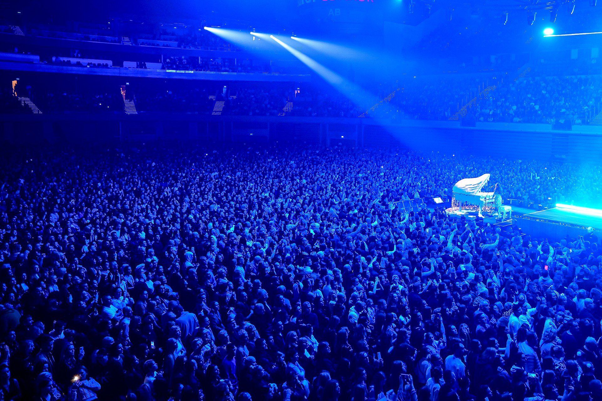 Sylwia Grzeszczak zagrała w Ergo Arenie. Tak wyglądał koncert trasy &#34;było sobie marzenie&#34;. ZDJĘCIA 14.11.2025