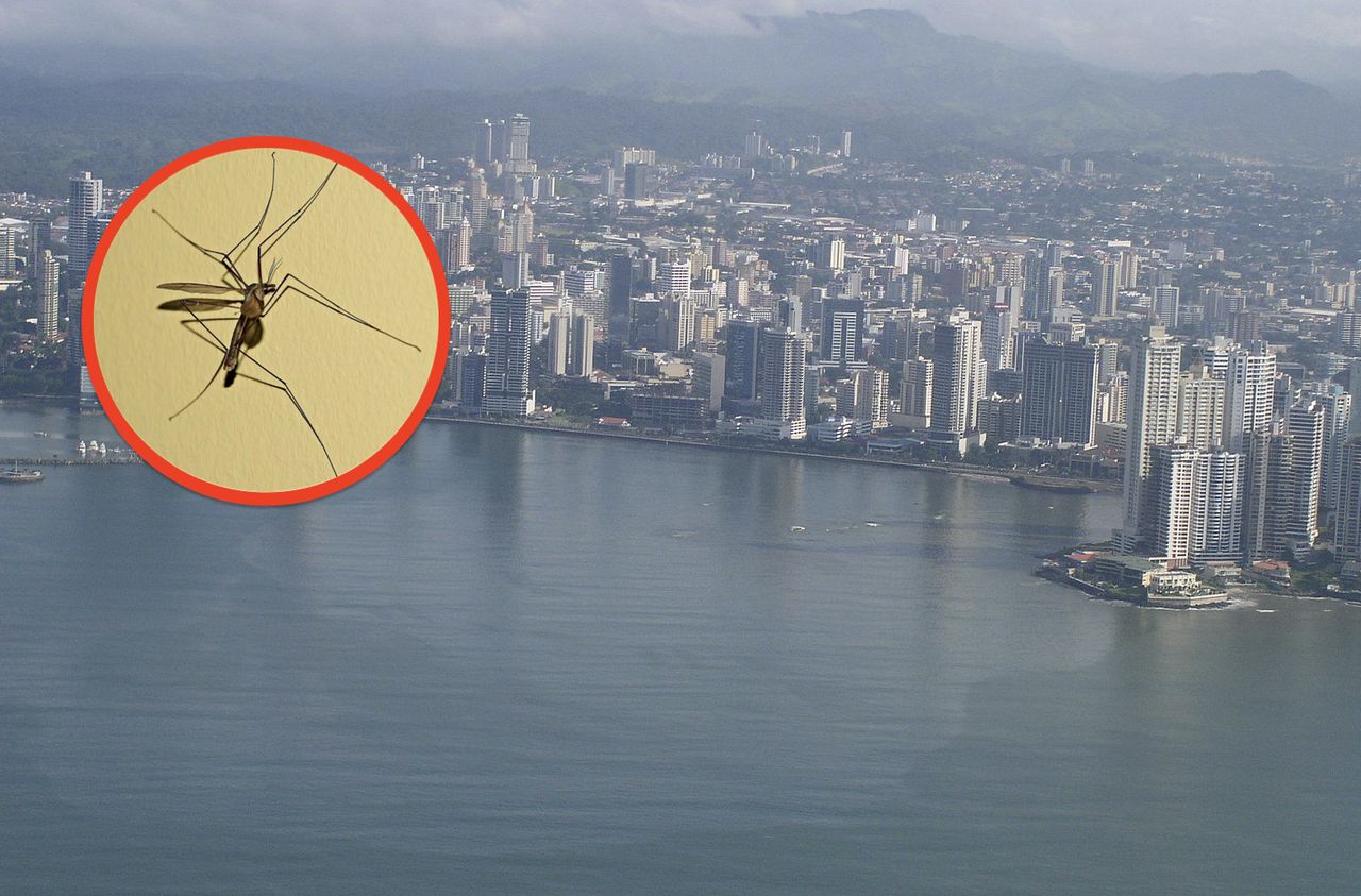 Mysterious fever claims the lives of two healthy women in Brazil