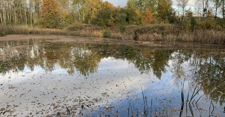 Pogoda. Wrocław. 21 września - znów nieciekawie za oknem. Poprawa w weekend