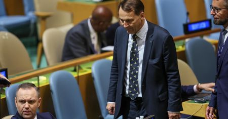 Sikorski mocno do Nawrockiego. "Kibolskie mordobicia były ważniejsze"