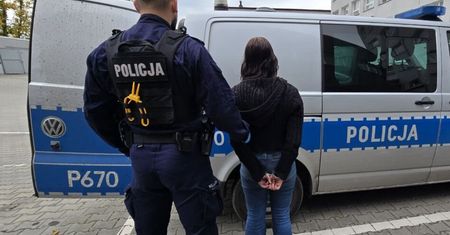 Poważny incydent w Rybniku. W ruch poszły nóż i tłuczek