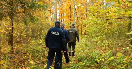 Straż leśna w akcji. Ruszyły kontrole w lasach w całej Polsce