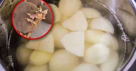 Takich ziemniaków lepiej nie jedz. Wielu popełnia ten błąd