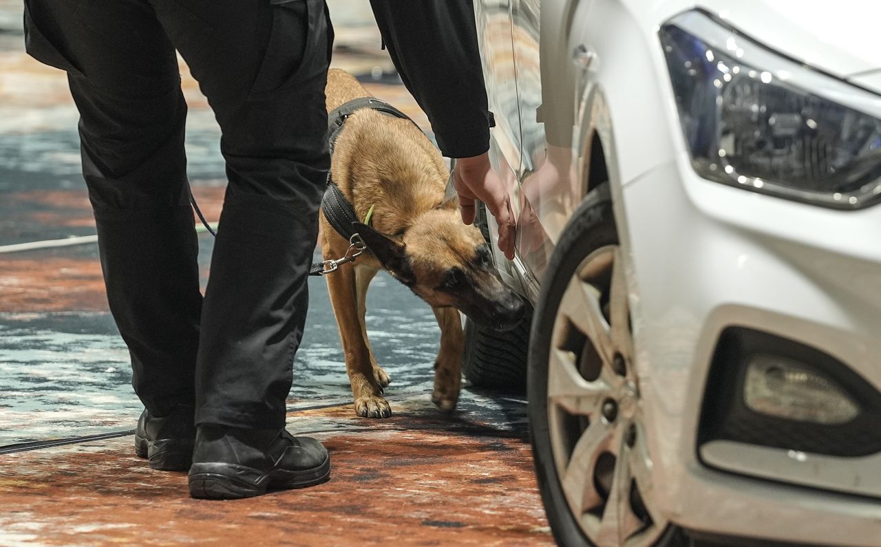 Lidia wywąchała amfetaminę. Udana akcja białostockiej policji