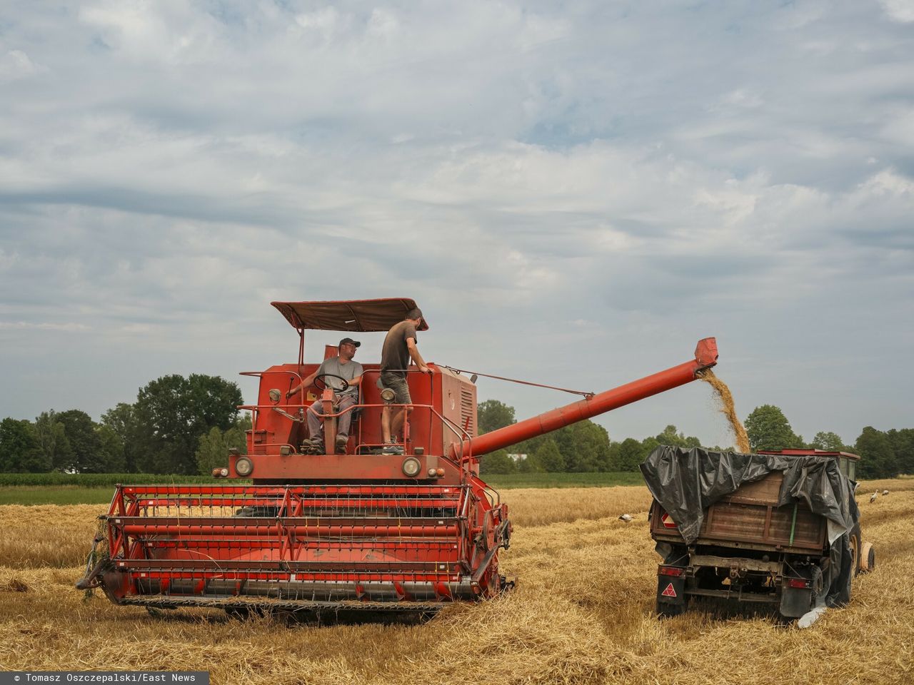 Na pola ruszyły kombajny. Rolnicy apelują do mieszkańców wsi