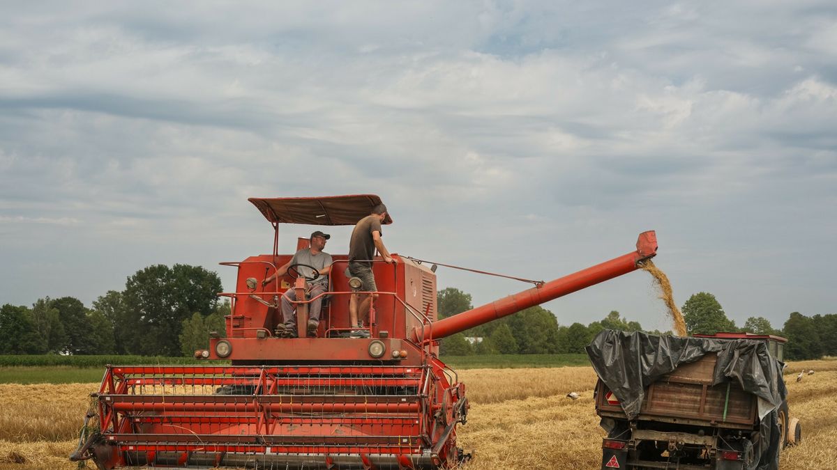 Na pola ruszyły kombajny. Rolnicy apelują do mieszkańców wsi