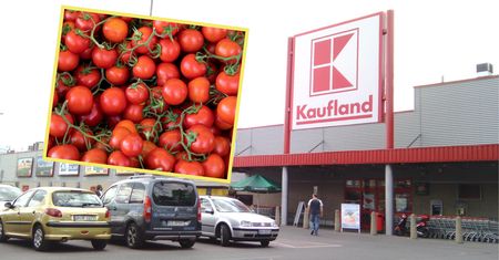 Pokazali, co jest w pomidorach z Kauflandu. Mamy odpowiedź sieci