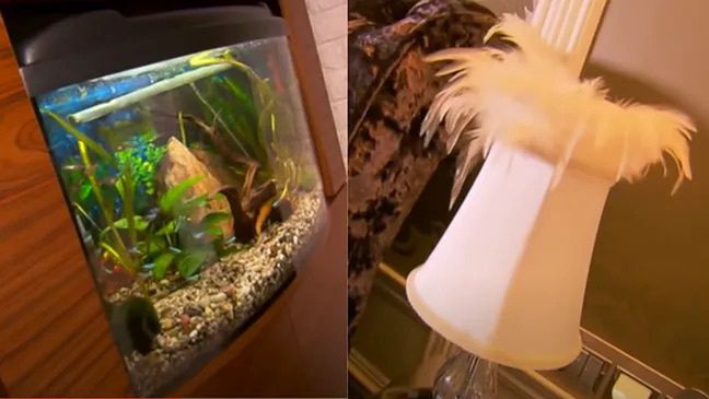 Tak mieszkają Danuta i Zenek Martyniukowie 