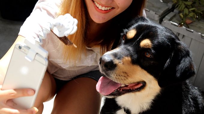 Twój zwierzak nie zwraca na ciebie uwagi, gdy robisz mu zdjęcie? Flexy Paw to załatwi 1