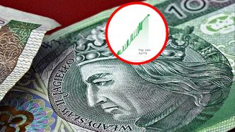 "Ten fejk zdenerwował wielu ludzi". Fala komentarzy po zamieszaniu z kursem złotego