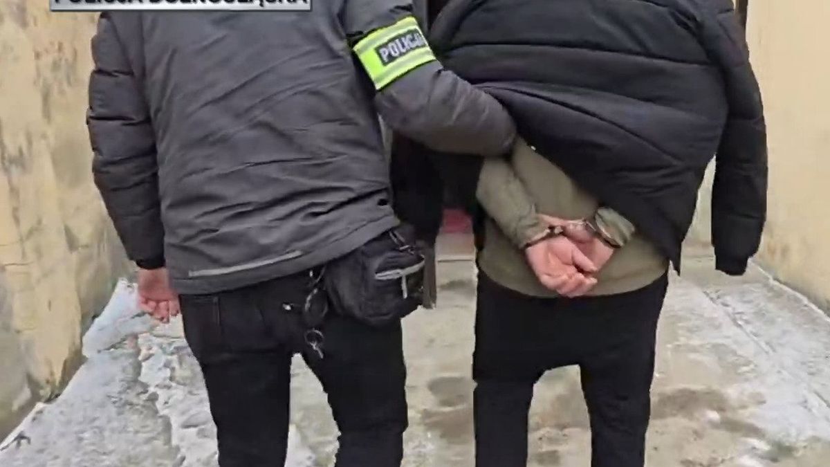 Zatrzymanie 41-latka podejrzanego o serię kradzieży pojazdów