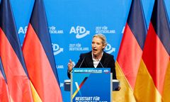 Szefowa AfD zapowiada wyjście z Schengen i euro. "Zamkniemy granice"