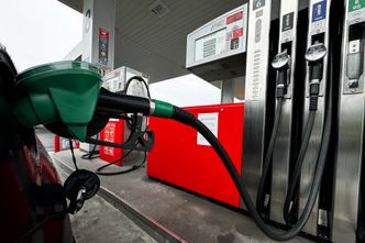 "Marża wyższa niż na paliwach". Stacje bez alkoholu są nieopłacalne?