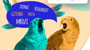 Młodzieżowe Słowo Roku wybrane. "Śpiulkolot" zwycięzcą