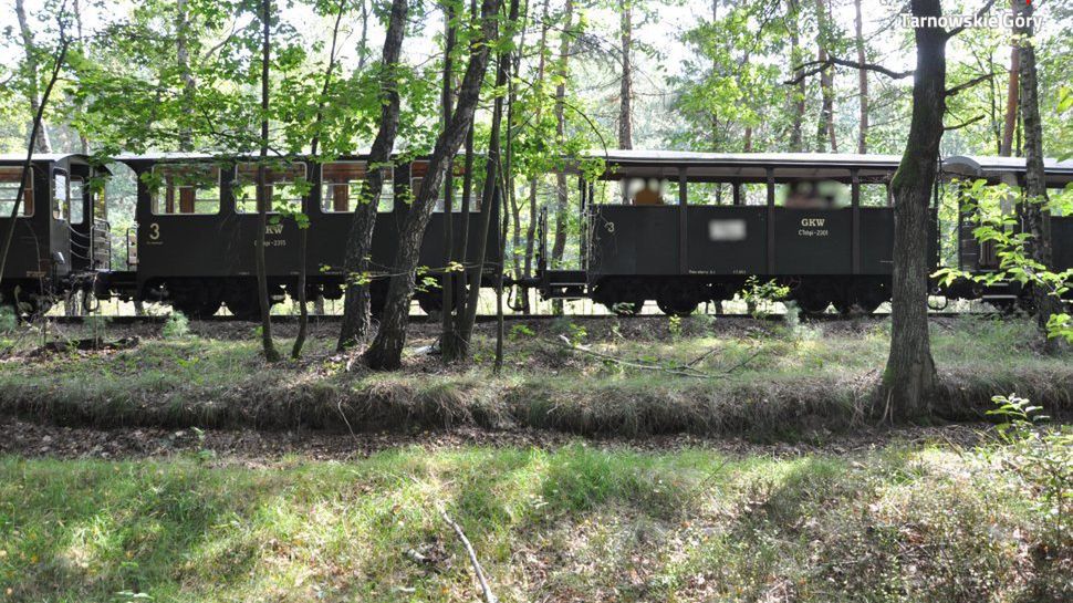 Kolejka wąskotorowa