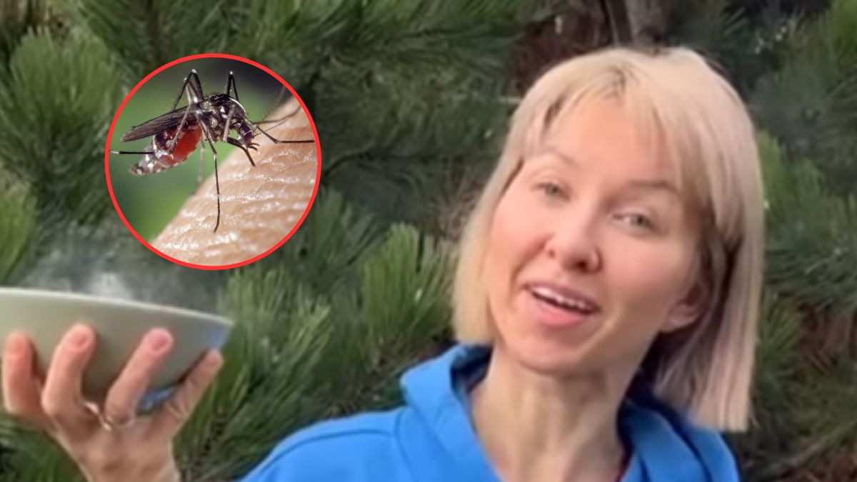 Dym działa odstraszająco na komary