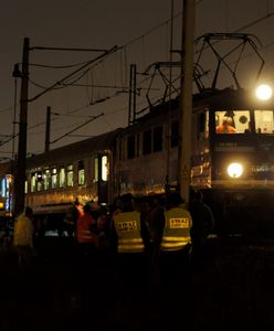 Pociąg zderzył się z łosiem. Podróżni musieli się przesiąść