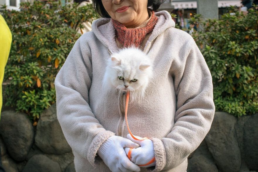 Japonia to dziwny kraj. Widać to na zdjęciach Shina Noguchi 2