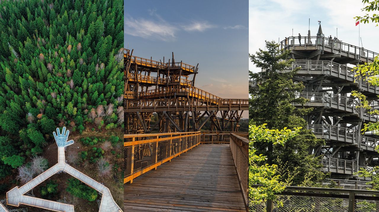 Gdzie pojechać wiosną w Polsce? Top trzy wieże widokowe