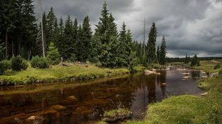 Wybieracie się w Karkonosze? Zamknięte szlaki wracają na mapę wędrówek