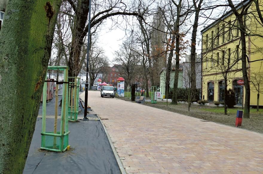 Gliwice. Al. Przyjaźni z każdym rokiem robi się coraz piękniejsza.