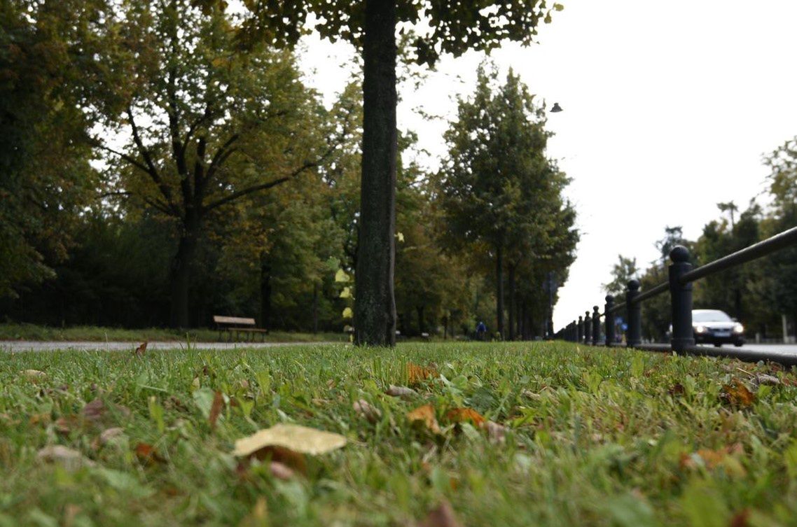 Warszawa. Rozpoczęło się ostatnie w tym roku koszenie trawy