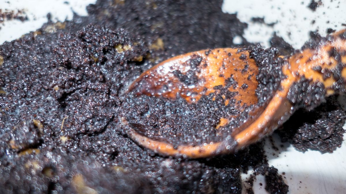 Jakie właściwości ma mak?