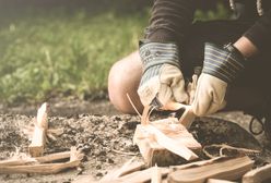 Złotoryja. 14-latek zginął zmiażdżony przez konar. Dzieci wcześniej same podcięły drzewo