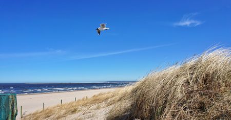 Niemiec zszokował straż miejską. Na plaży zachował się tak, jak na swoim podwórku