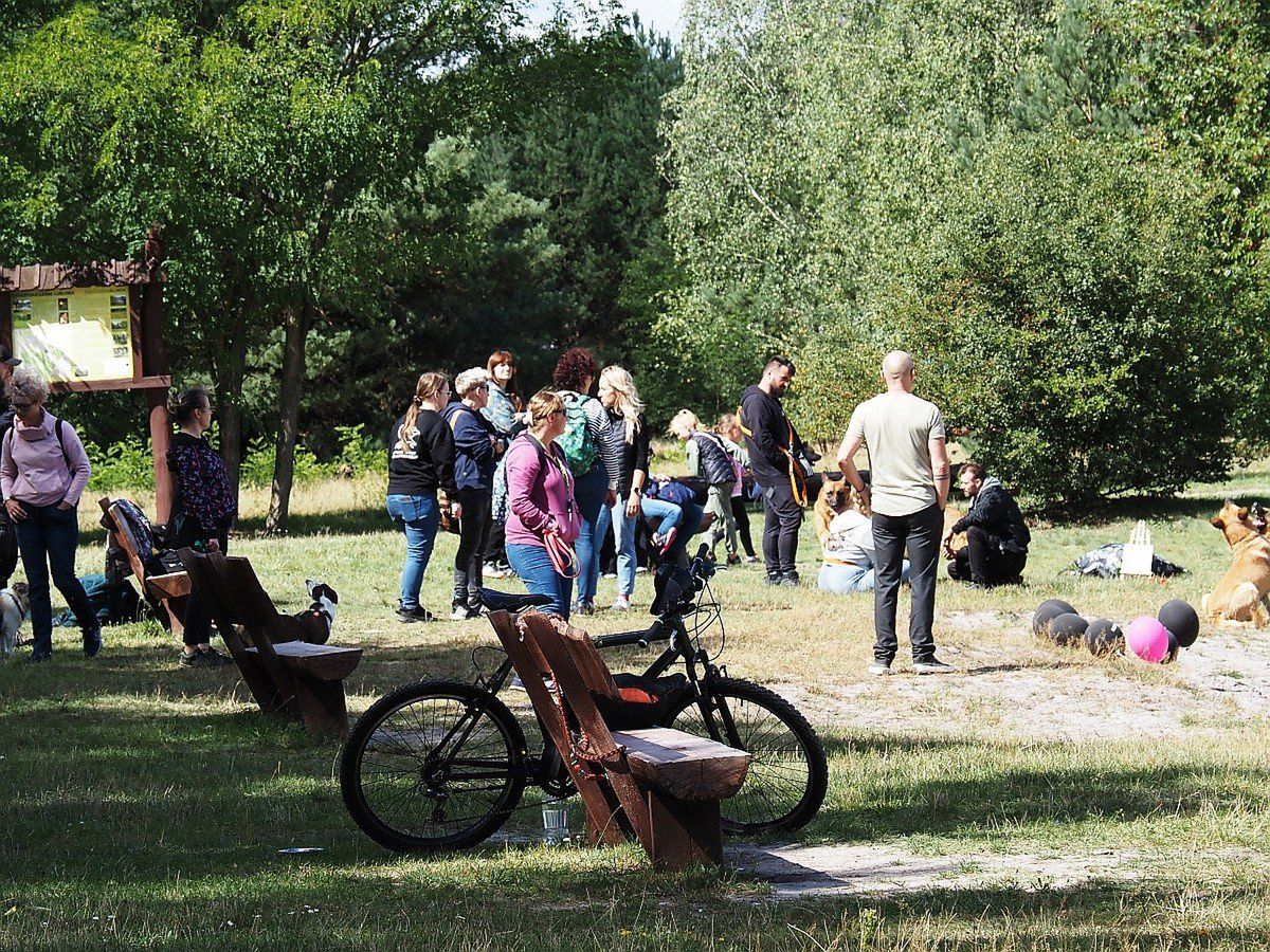 Niedzielny piknik na Uroczysku Lublinek był chwilą relaksu dla psiaków oraz ich właścicieli