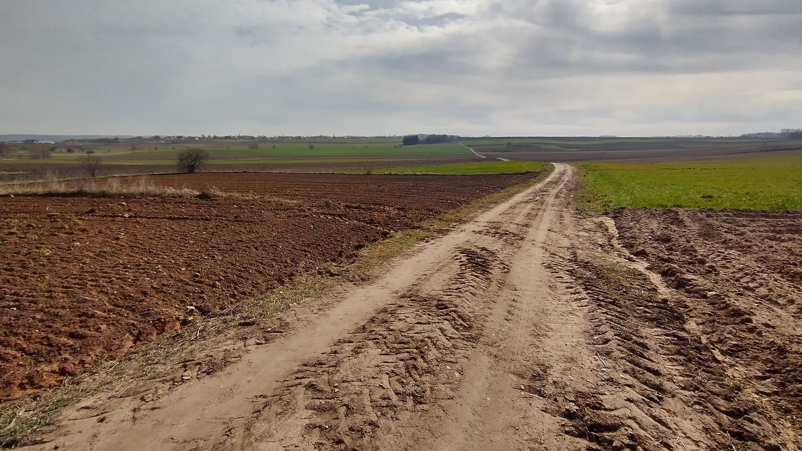 Motorola Moto G8 Power po dwóch dniach testów. Jest solidnie 17