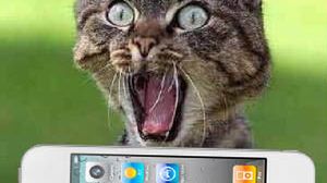 Olaboga! iPhone 4 na wideo 1