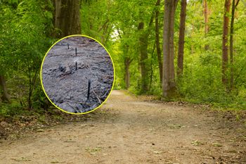 Ktoś zastawił "pułapki" na spacerowiczów. Leśnicy ostrzegają