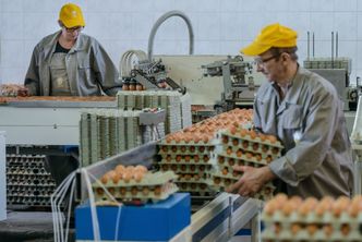 Import jaj wystrzelił. Z tego kraju sprowadzamy najwięcej